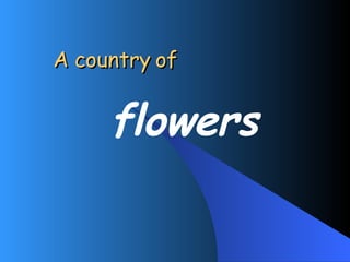 A country of flowers 