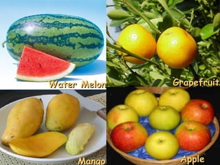 Water Melon Mango Grapefruit Apple 