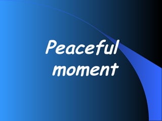 Peaceful moment 
