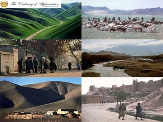 Little about Afghanistan !54