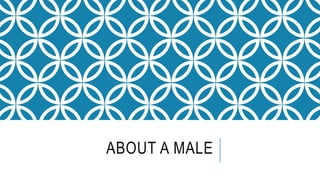 ABOUT A MALE 
 