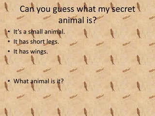 Can you guess what my secret 
             animal is?
• It’s a small animal.
• It has short legs.
• It has wings.



• What animal is it?
 