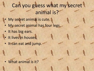 Can you guess what my secret 
               animal is?
•   My secret animal is cute.
•   My secret animal has four legs.
•   It has big ears.
•   It lives in houses.
•   It can eat and jump.



• What animal is it?
 