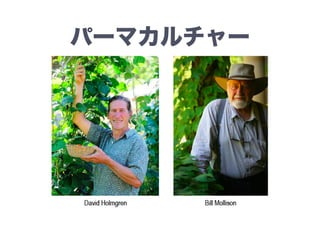 パーマカルチャー
 