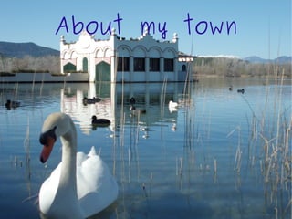 About my town
 