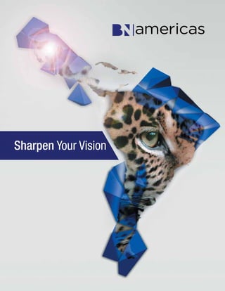 BNamericas.com 1
Sharpen Your Vision
 