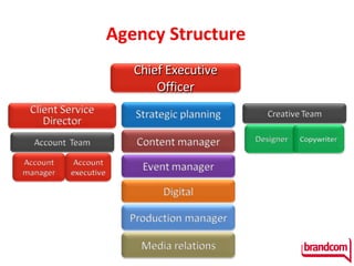 Agency Structure Chief Executive Officer 