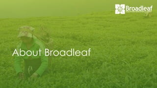 About Broadleaf
 
