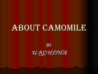 ABOUT CAMOMILE BY U.ROHITHA 
