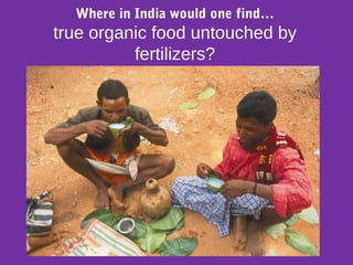 Where in India would one find…
true organic food untouched by
fertilizers?
 