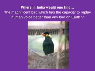 Where in India would one find…
“the magnificent bird which has the capacity to replay
human voice better than any bird on Earth ?”
“
 