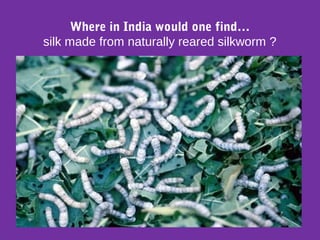 Where in India would one find…
silk made from naturally reared silkworm ?
 