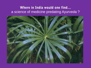 Where in India would one find…
a science of medicine predating Ayurveda ?
 