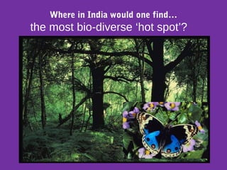 Where in India would one find…
the most bio-diverse ‘hot spot’?
 