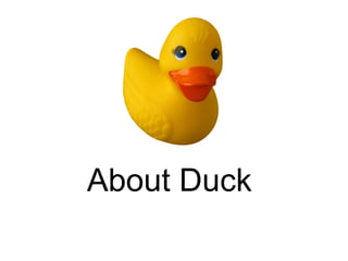 About Duck
 