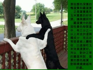 ЩɫƵѼƺͼƣҶغ׻صĺԴое֬ԻɫʵУ֮һֳɷ֣ҷǳױգֱӳЧҪáԣļ˵ƵɫԽƣ۾Խкô  