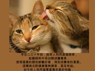 ڶʮǰ@Ҏɣ ou}Nأ ʹõSɫrGÿõMߵϲۡ @Nop档 õSɫصc  