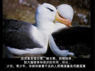 主|Sء֬ȣ Xlкܺõãԣ كꡢЋD͠IBȺmʳuS  ͨҲɲ   &quot;    &quot;  S  