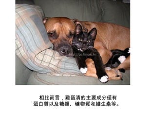 ȶԣuҪɷփH |ԼV|;Sصȡ   