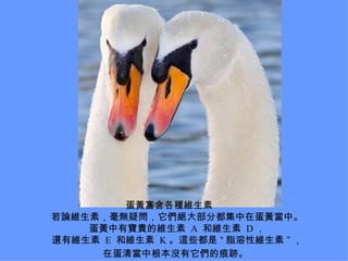Ƹά   ՓSأoɆ^󲿷ֶڵSС SЌFľS  A  ;S  D  ߀оS  E  ;S  K @Щ  ֬ԾS   ڵ宔и]ĺE   