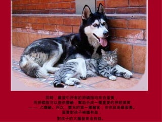 ͬruе֬ԵS ֬ṩđ|ϳһNҪf|    đ|ԣ냺ĵһNoʳuS SaF棬 ӵĴXlҲ档   