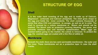 About eggs | PPT