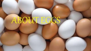 ABOUT EGGS
 
