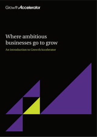 About Growth Accelerator - information about GrowthAccelerator, growth accelerator application process