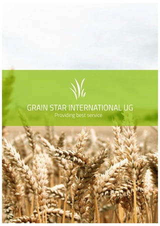 About Grain Star Interntational
