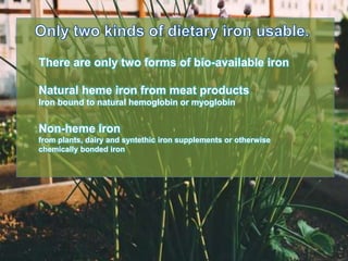 There are only two forms of bio-available iron
Natural heme iron from meat products
Iron bound to natural hemoglobin or myoglobin
Non-heme iron
from plants, dairy and syntethic iron supplements or otherwise
chemically bonded iron