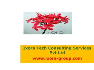 Ixora Tech Consulting Services
Pvt Ltd
www.ixora-group.com
 