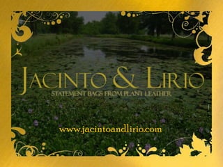 www.jacintoandlirio.com 