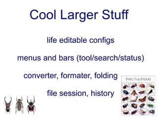 Cool Larger Stuff
        life editable configs

menus and bars (tool/search/status)

 converter, formater, folding

        file session, history
 