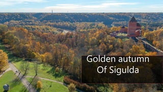 Siguldas golden autumn
Golden autumn
Of Sigulda
 