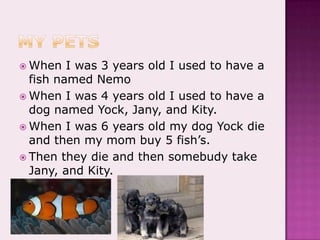 My petsWhen I was 3 years old I used to have a fish named NemoWhen I was 4 years old I used to have a dog named Yock, Jany, and Kity.When I was 6 years old my dog Yock die and then my mom buy 5 fish’s.Then they die and then somebudy take Jany, and Kity.