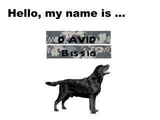 Hello, my name is …  DAVID Bissig 
