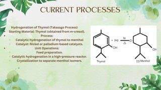 SYNTHETIC MENTHOL AND DIFFERENT ROUTES TO MANUFACTURE.pdf