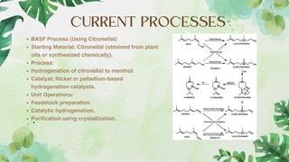 SYNTHETIC MENTHOL AND DIFFERENT ROUTES TO MANUFACTURE.pdf