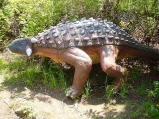 Ankylosaurus
 