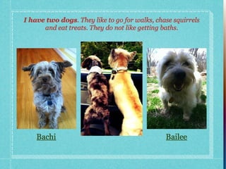 About Me Presentation