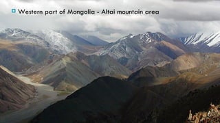    Western part of Mongolia - Altai mountain area
 