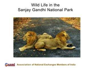 Wild Life in the
Sanjay Gandhi National Park




Association of National Exchanges Members of India
 