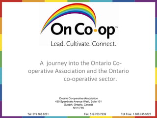 A  journey into the Ontario Co-operative Association and the Ontario  co-operative sector. Ontario Co-operative Association 450 Speedvale Avenue West, Suite 101 Guelph, Ontario, Canada N1H 7Y6 Email:  [email_address] Tel: 519.763.8271 Toll Free: 1.888.745.5521 Fax: 519.763.7239  