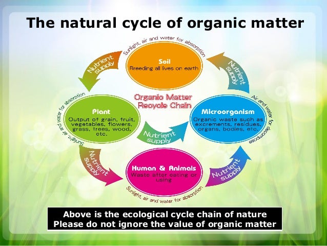 Organic Foods Food Matter Organic Foods Food Matter