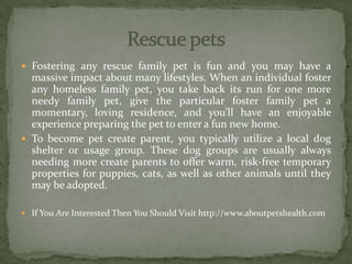  Fostering any rescue family pet is fun and you may have a
massive impact about many lifestyles. When an individual foster
any homeless family pet, you take back its run for one more
needy family pet, give the particular foster family pet a
momentary, loving residence, and you’ll have an enjoyable
experience preparing the pet to enter a fun new home.
 To become pet create parent, you typically utilize a local dog
shelter or usage group. These dog groups are usually always
needing more create parents to offer warm, risk-free temporary
properties for puppies, cats, as well as other animals until they
may be adopted.
 If You Are Interested Then You Should Visit http://www.aboutpetshealth.com
 