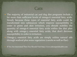  The majority of industrial cat and dog diet programs include a
lot more than sufficient levels of omega-6 essential fatty acids.
Simply because these types of essential fatty acids could be
transformed into substances which improve susceptibility in
order to pores and skin irritation, you should stability the
quantity of omega-6 essential fatty acids within the diet plan
along with omega-3 essential fatty acids, that don’t decrease
susceptibility in order to irritation.
 Omega-3 essential fatty acids are simply within natural oils
through seafood plus some vegetation (canola as well as flax).
 If You Are Interested Then You Should Visit http://www.aboutpetshealth.com
 