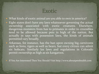  What kinds of exotic animal are you able to own in america?
 Eight states don’t have any laws whatsoever governing the actual
ownership associated with exotic creatures. Elsewhere,
dangerous monsters from has to primates in order to crocodiles
tend to be allowed because pets in high of the nation. But
actually in says with possession laws, the kinds of animals
permitted vary broadly.
 Arkansas, for instance, has the ban upon owning big carnivores
such as lions, tigers as well as bears, but every citizen can admit
six bobcats. Similarly lax laws and regulations in Colorado
permit ownership as high as six kangaroos.
 If You Are Interested Then You Should Visit http://www.aboutpetshealth.com
 