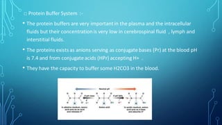 □ Protein Buffer System :-
• The protein buffers are very important in the plasma and the intracellular
fluids but their concentration is very low in cerebrospinal fluid , lymph and
interstitial fluids.
• The proteins exists as anions serving as conjugate bases (Pr) at the blood pH
is 7.4 and from conjugate acids (HPr) accepting H+ .
• They have the capacity to buffer some H2CO3 in the blood.
 
