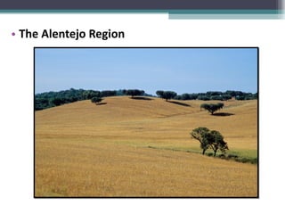 The Alentejo Region 