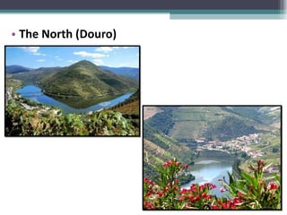 The North (Douro) 